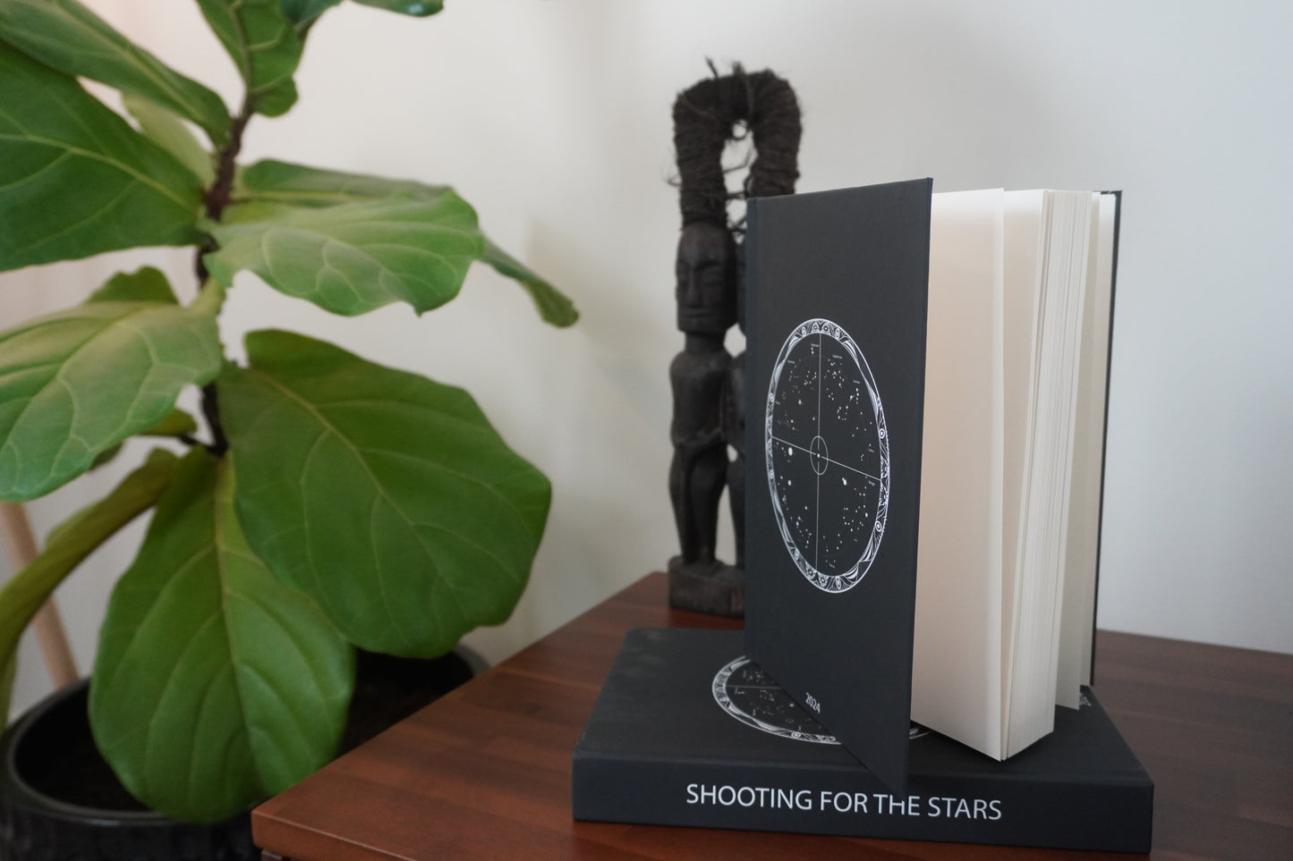 Shoot for the Stars Journal