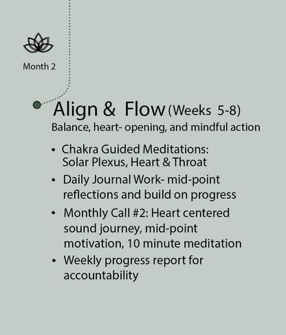 NuBloom Transformation Series