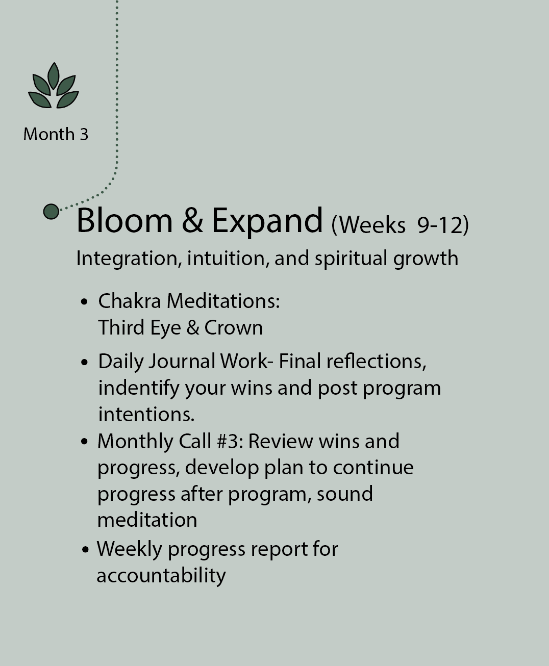 NuBloom Transformation Series
