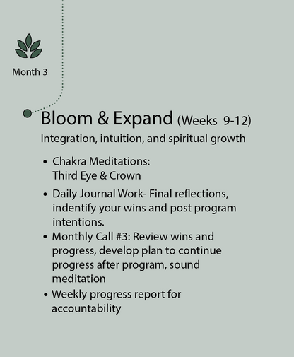 NuBloom Transformation Series
